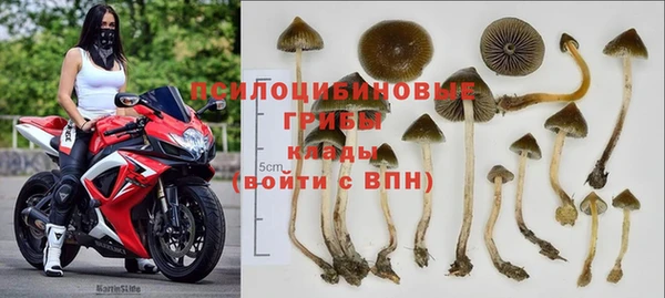 mix Алексин
